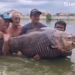 man catches giant catfish weighing over 114kg 130300