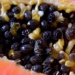 many people eat papaya seeds but do not know papaya seeds have many health benefits 129586