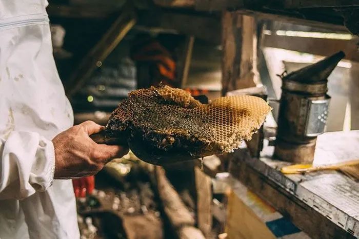 This is why this type of honey is so expensive