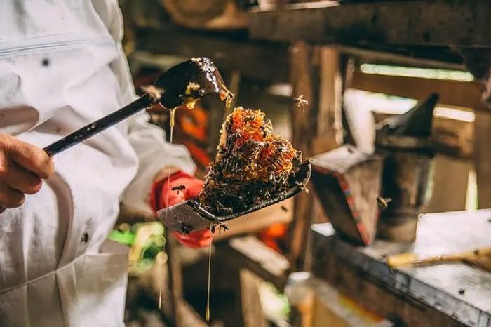 Besides its sweetness, Elvish Honey also has a very distinctive mild bitterness
