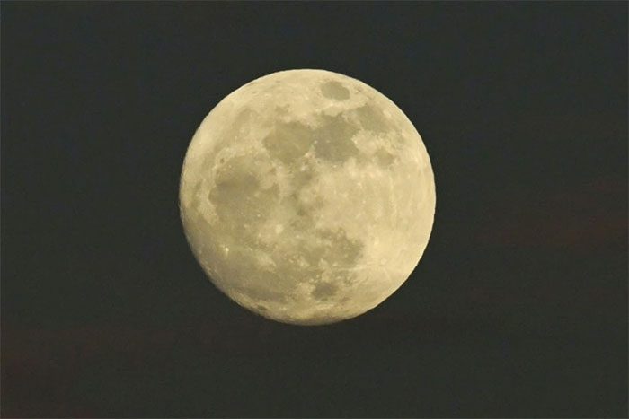Sturgeon eggs are being tested for future cultivation on the Moon.