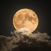 mid autumn festival this year 29 9 the moon will be bigger and brighter than usual 129865