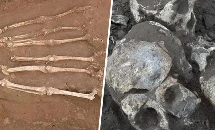 Ancient mass grave reveals the largest decapitation massacre in ancient China.