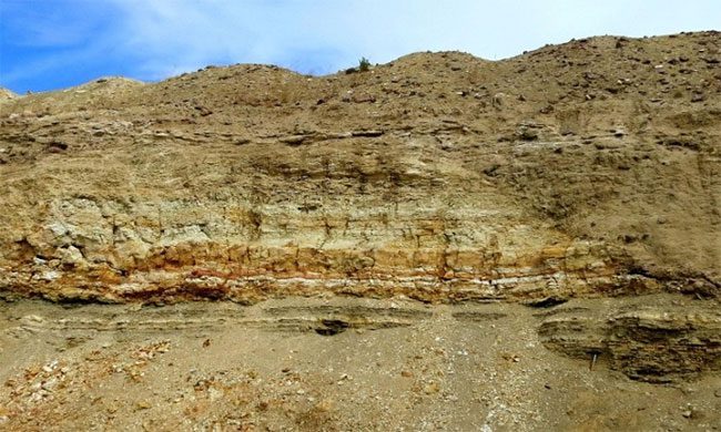 Lithium-rich shale layers in McDermitt Caldera.