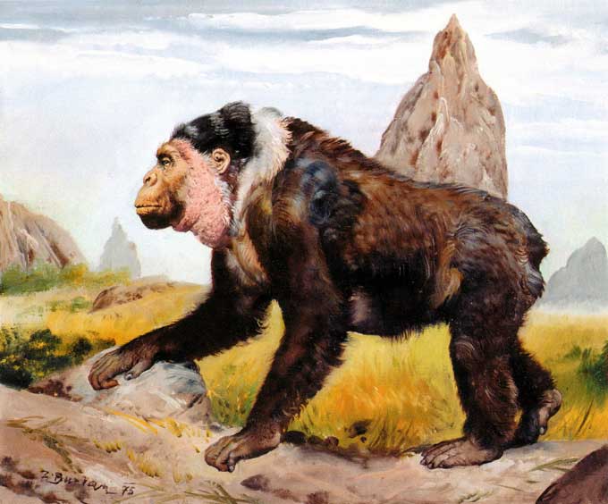 Graphic simulation of the giant ape's appearance.