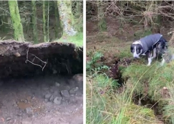 moment of the earth sinking beneath the bubble that makes both people and pets terrified 130542