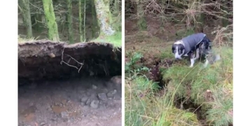 moment of the earth sinking beneath the bubble that makes both people and pets terrified 130542
