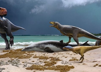 morocco discovers two completely new dinosaur species 129431
