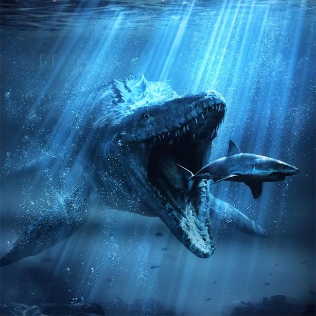 Mosasaurus