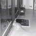 mouse with infinite iq transforms into a groom 130481