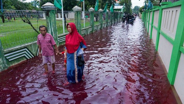 Blood rain pollutes the soil and water bodies