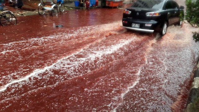The appearance of blood rain has revealed the current air quality issue in India