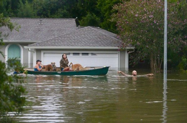 Some areas in Houston, USA have experienced rainfall exceeding 1,300 mm due to storms.