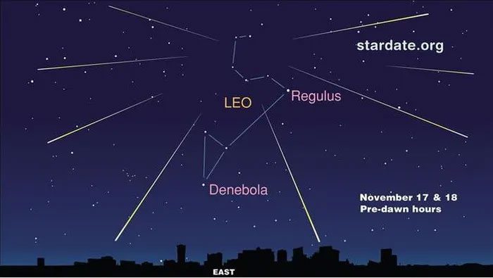 The Leonids meteor shower will radiate from the head of the "celestial lion", which is the constellation Leo.