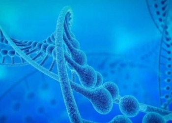 mystery of prions in the 20th chromosome of humans 129368