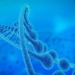 mystery of prions in the 20th chromosome of humans 129368