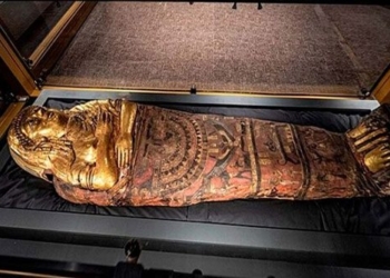 mystery of the golden mummy of queen ai cap 129555