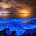 mystery of the starry phenomenon of maldives 129554