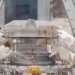 nasa begins opening extraterrestrial energy portal risk due to bacteria invasion 130102