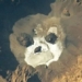nasa releases image of massive bright spot in sahara 130857
