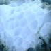 nasa tells who lives under the sea might survive outside earth 130124