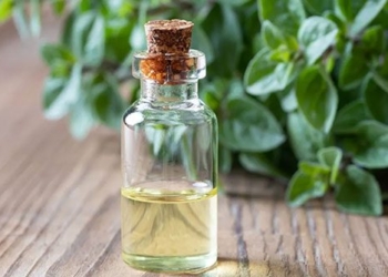 natural antibiotics which few people know about 129350