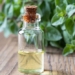 natural antibiotics which few people know about 129350