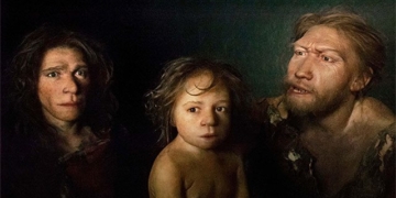 neanderthal people smarter than apes and why they went extinct 30 000 years ago 130230