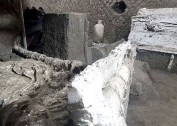 new discovery about the lives of those who are ordinary yet legendary 129380