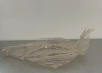 new plastic can be biodegraded into food for marine organisms 130887