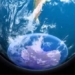 new research shows ozone hole could expand further 131174