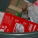 new york street rodents take over 129495