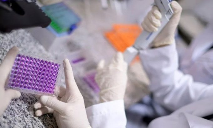 Scientists researching the Calixcoca vaccine.