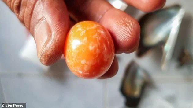 Melo pearls are very rare and often sold at high prices.
