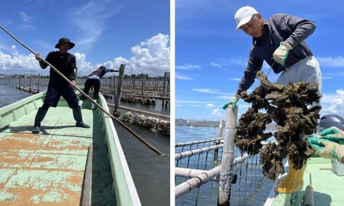 Oyster farmers working at Lake Hamana in Maisaka, Japan.