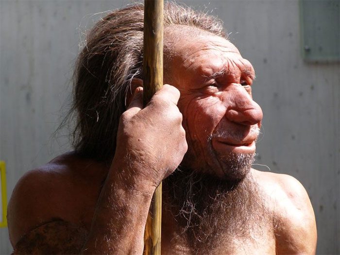 A modern woman admires a wax figure of a Neanderthal man at a museum