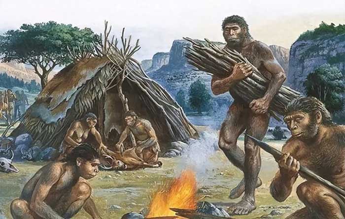 The omnivorous nature of humans is the result of multiple factors.