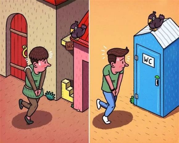Outdoor toilets.