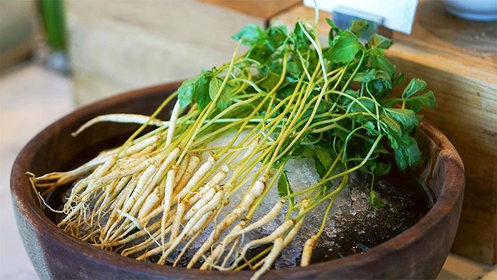 Experts do not recommend replacing vegetables with sprouted ginseng regularly.