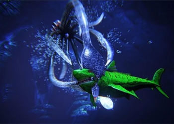 not megalodon 5 types that are actually the strongest monsters in the ocean 129491