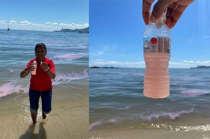 Pink sea water in Penang, Malaysia.