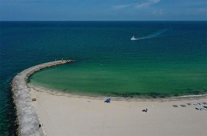 56% of the world's oceans have changed color from deep blue to green.