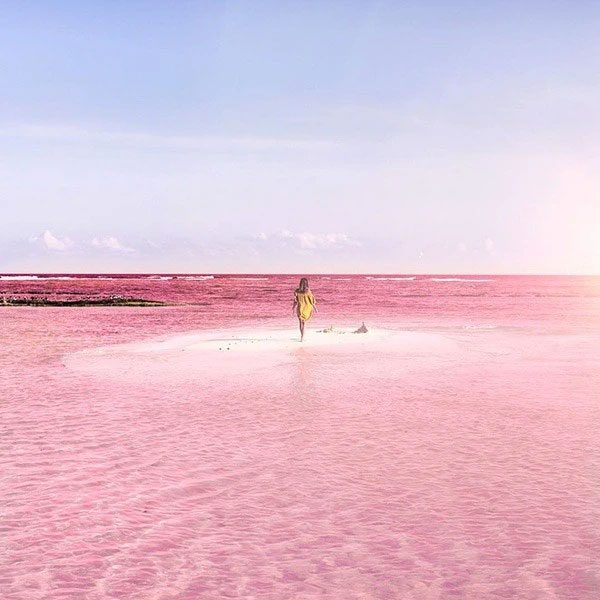 The pink color of the water creates a surreal landscape as if from another world.