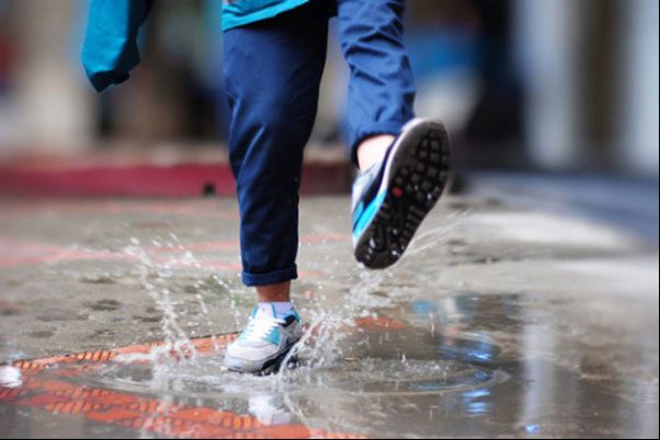 Rainy weather creates conditions for parasites and bacteria to thrive...