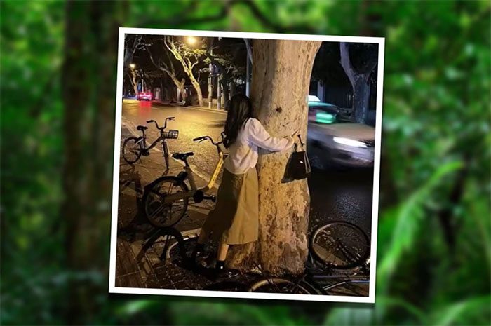 A Chinese woman hugging a tree trunk.