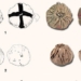 opening the expert finds 3 surprising facts about the ancient person 131390