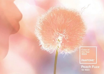 pantone announces color of the year 2024 representing human compassion connection to people and mental health 131447
