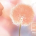 pantone announces color of the year 2024 representing human compassion connection to people and mental health 131447