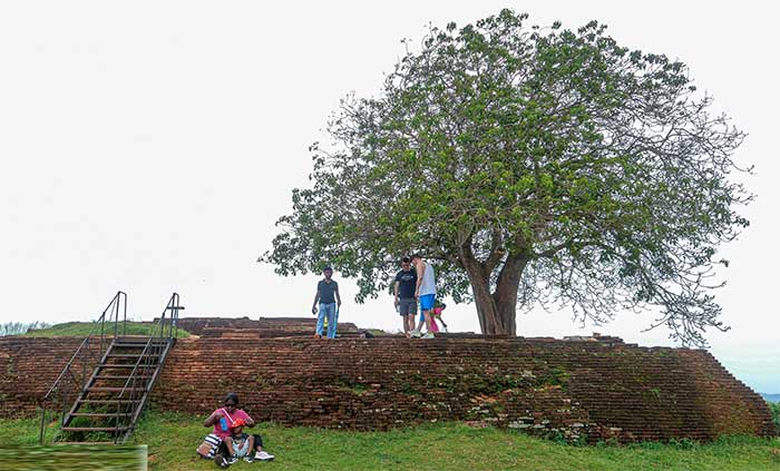 phao dai Sigiriya 8