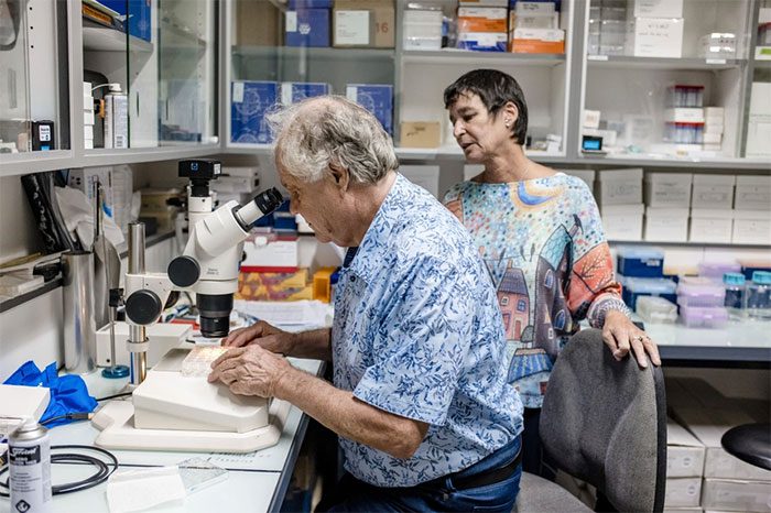 Prehistoric viruses may pose a potential threat to human health.